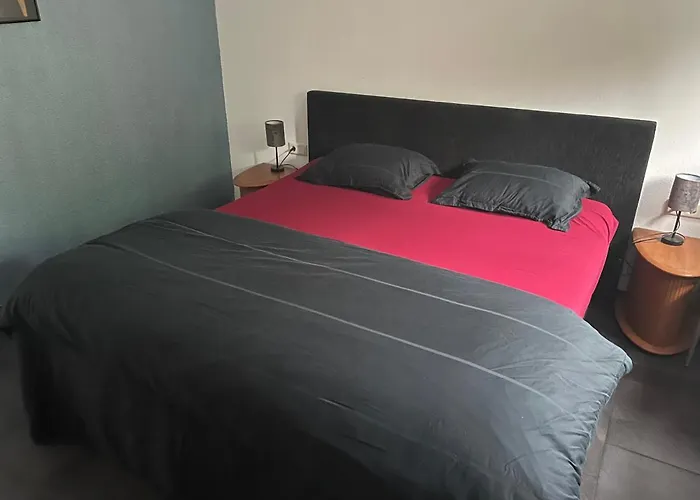 Luxe Recreatiebungalow 別荘 *